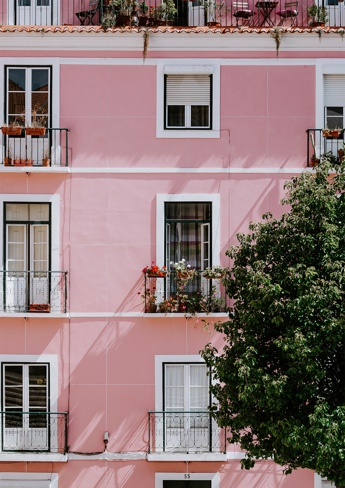 Pink Building Banff pink building – Raody Recipes
